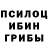 Галлюциногенные грибы GOLDEN TEACHER Big Kailus