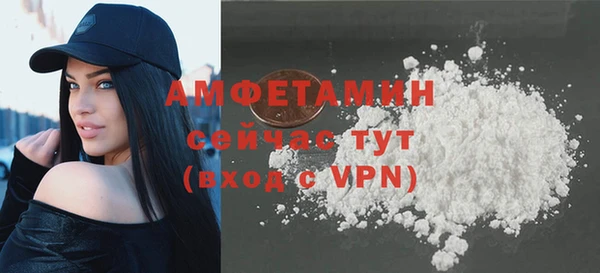 прущие грибы Вязники