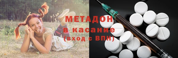 прущие грибы Вязники
