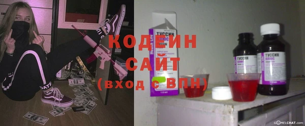 прущие грибы Вязники