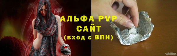 прущие грибы Вязники