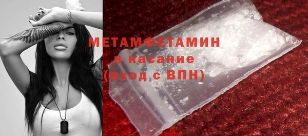 прущие грибы Волосово