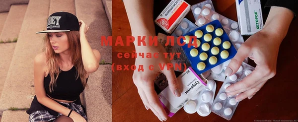 прущие грибы Вязники