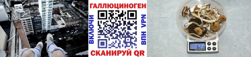 Псилоцибиновые грибы мицелий  Раменское 