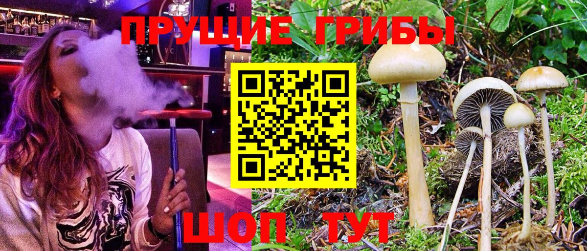 Псилоцибиновые грибы прущие грибы  Вход с VPN  Раменское 